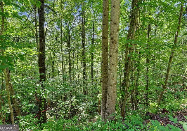 Photo 4 of Land for sale at 0 Waterfall Dr 5D, Clayton, GA 30525 | MLS# 10826025 | Listing updated on 2026-08-29