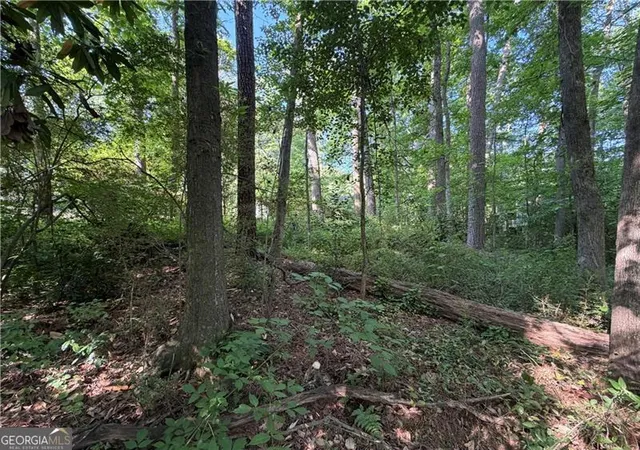 4th image of 0 Manning Dr, Alpharetta, GA 30009 | MLS# 10742615