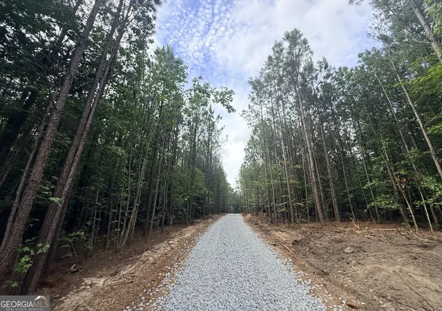 Homes for sale in Elberton, GA | 2815 Cedar Creek Rd, Elberton, GA 30635 | MLS# 10785695