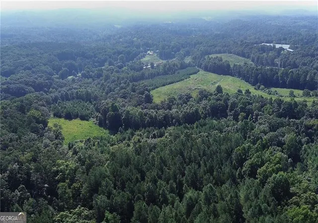 36th image of 000 Pearl Johnson Rd, Ranger, GA 30734 | MLS# 10831786