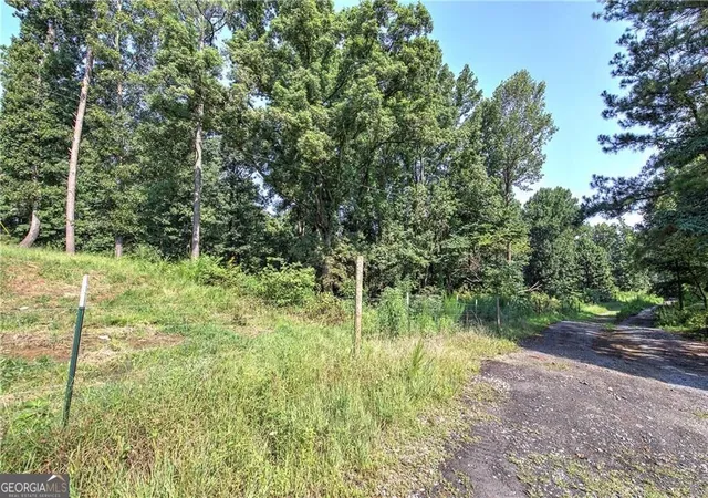 5th image of 000 Pearl Johnson Rd, Ranger, GA 30734 | MLS# 10831786