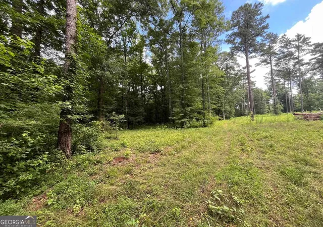 2nd image of 20 +/  Ac Crooked Creek Rd, Eatonton, GA 31024 | MLS# 10786885