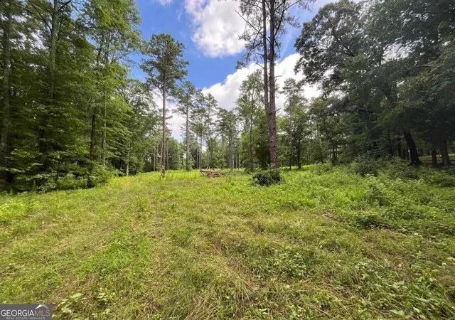 3rd image of 20 +/- Ac Crooked Creek Rd, Eatonton, GA 31024 | MLS# 10786885