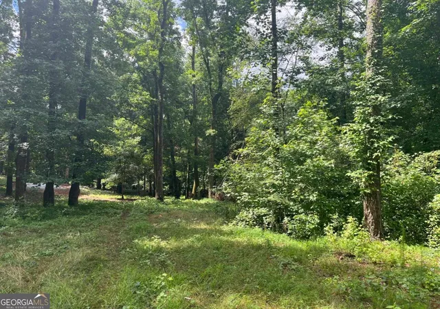 4th image of 20 +/- Ac Crooked Creek Rd, Eatonton, GA 31024 | MLS# 10786885