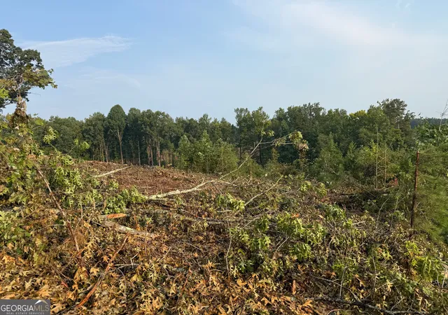 Photo 4 of Land for sale at 0 US Hwy 17, Martin, GA 30557 | MLS# 10608794 | Listing updated on 2026-10-01