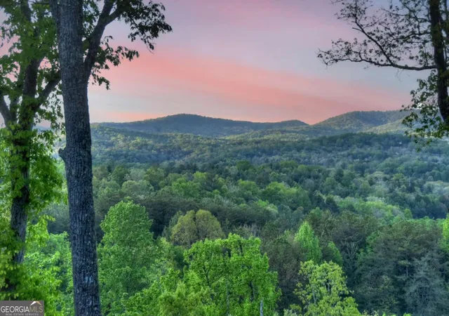 Homes for sale in Morganton, GA | 329 Robinson Thomas Rd, Morganton, GA 30560 | MLS# 10802182