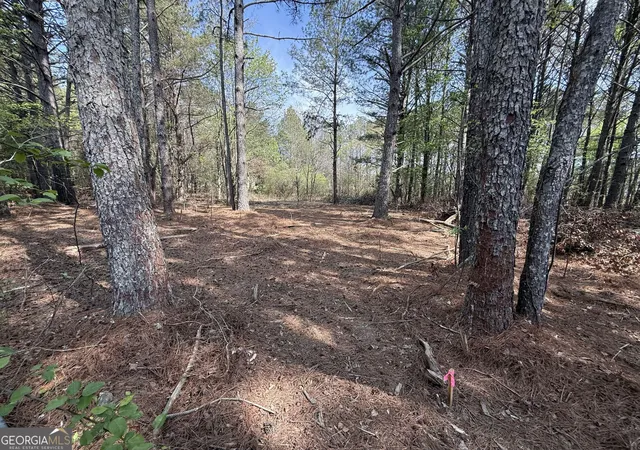Photo 3 of Land for sale at 265 W Union Grv Cir, Auburn, GA 30011 | MLS# 10713430 | Listing updated on 2026-08-20