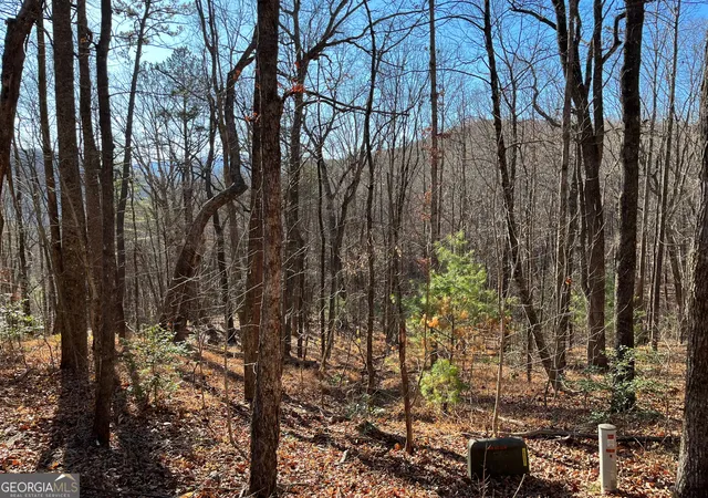 Photo 1 of Land for sale at Lot #1 Forest Canopy Wy, Clayton, GA 30525 | MLS# 10834520 | Listing updated on 2026-09-10