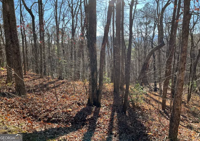 Photo 3 of Land for sale at Lot #1 Forest Canopy Wy, Clayton, GA 30525 | MLS# 10834520 | Listing updated on 2026-09-10