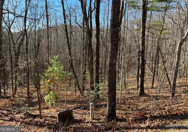 Photo 4 of Land for sale at Lot #1 Forest Canopy Wy, Clayton, GA 30525 | MLS# 10834520 | Listing updated on 2026-09-10