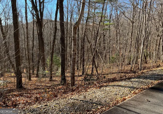 Photo 7 of Land for sale at Lot #1 Forest Canopy Wy, Clayton, GA 30525 | MLS# 10834520 | Listing updated on 2026-09-10