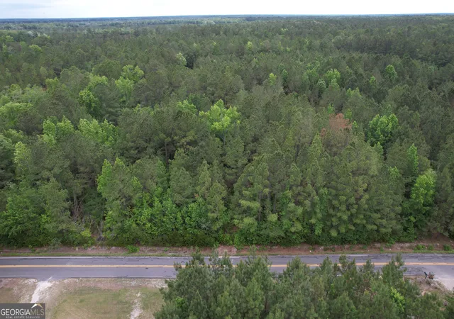 Homes for sale in Clyo, GA | 15 Acres Mt Pleasant Rd, Clyo, GA 31303 | MLS# 10794788