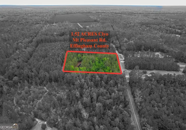 Homes for sale in Clyo, GA | 15 Acres Mt Pleasant Rd, Clyo, GA 31303 | MLS# 10794788
