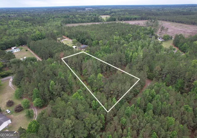 Homes for sale in Clyo, GA | 15 Acres Mt Pleasant Rd, Clyo, GA 31303 | MLS# 10794788