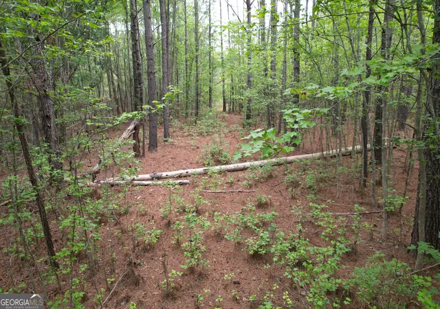 Homes for sale in Clyo, GA | 15 Acres Mt Pleasant Rd, Clyo, GA 31303 | MLS# 10794788