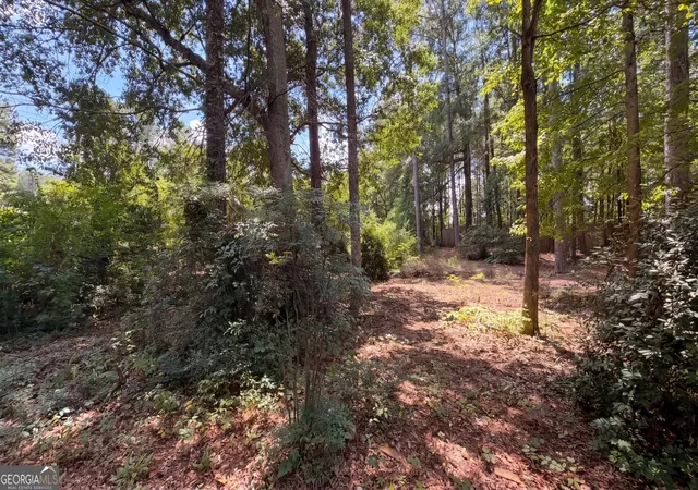 Photo 29 of Single family home for sale at 115 Emerald Ln, Hampton, GA 30228 | MLS# 10825784 | Listing updated on 2026-09-04