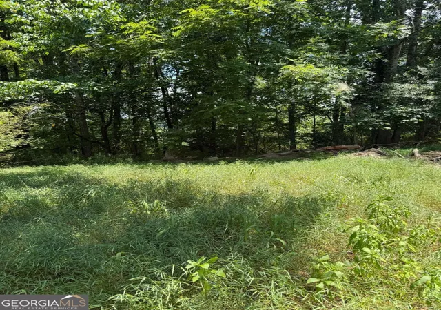 Photo 4 of Land for sale at 217 Bagwell Garland Rd, Canton, GA 30115 | MLS# 10803445 | Listing updated on 2026-09-07
