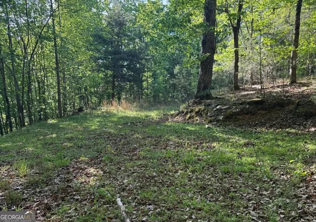 3rd image of 0 Baldwin Heights Dr, Baldwin, GA 30511 | MLS# 10795720