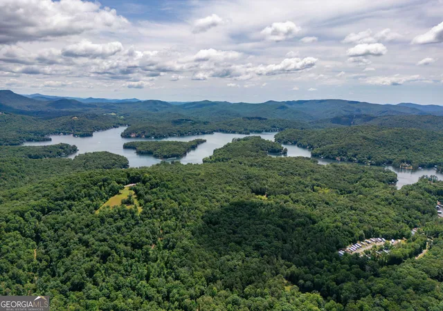 1st image of 0 Hwy 197, Clarkesville, GA 30523 | MLS# 10798943