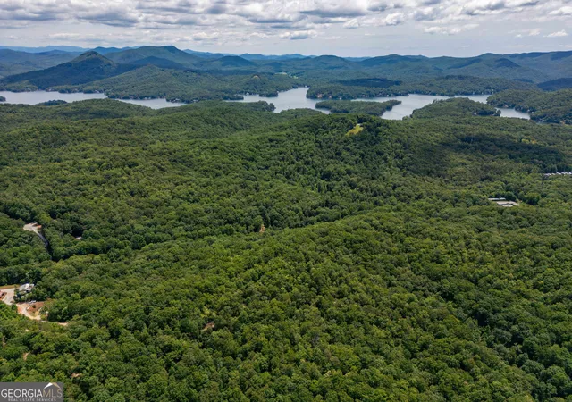 2nd image of 0 Hwy 197, Clarkesville, GA 30523 | MLS# 10798943