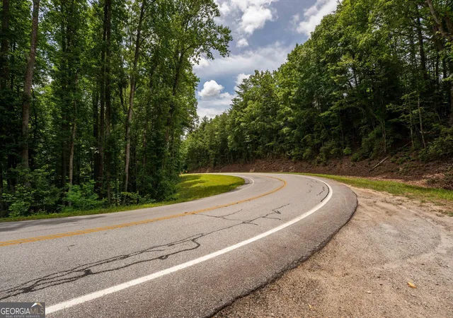 38th image of 0 Hwy 197, Clarkesville, GA 30523 | MLS# 10798943