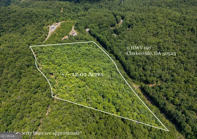 3rd image of 0 Hwy 197, Clarkesville, GA 30523 | MLS# 10798943