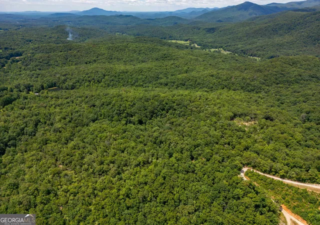 4th image of 0 Hwy 197, Clarkesville, GA 30523 | MLS# 10798943