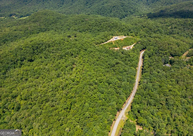 5th image of 0 Hwy 197, Clarkesville, GA 30523 | MLS# 10798943