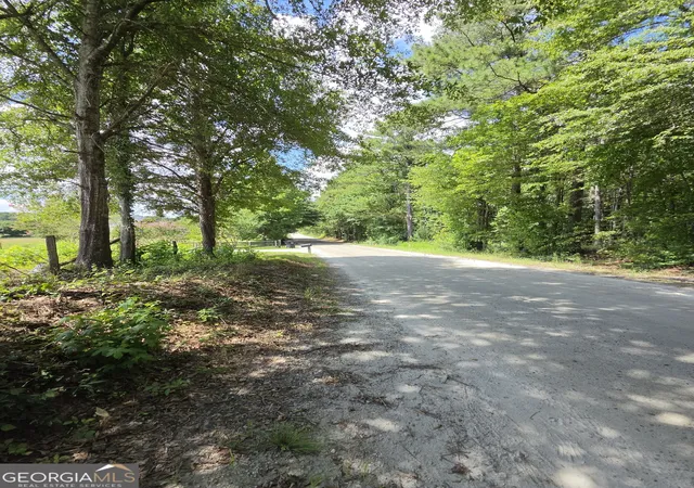 Homes for sale in Tyrone, GA | 0 Trickum Creek Rd, Tyrone, GA 30290 | MLS# 10795439