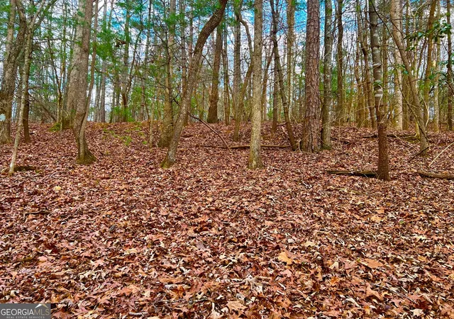 Photo 1 of Land for sale at 914 Villa Dr, Ellijay, GA 30540 | MLS# 10677704 | Listing updated on 2026-02-05