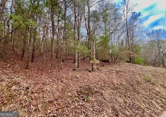 Photo 2 of Land for sale at 914 Villa Dr, Ellijay, GA 30540 | MLS# 10677704 | Listing updated on 2026-02-05