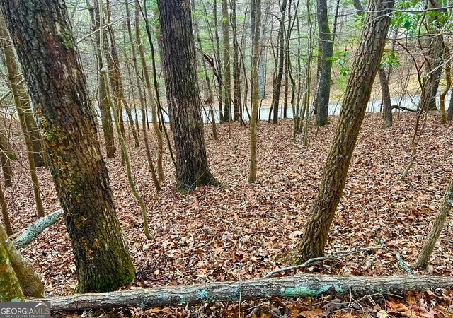 Photo 3 of Land for sale at 914 Villa Dr, Ellijay, GA 30540 | MLS# 10677704 | Listing updated on 2026-02-05