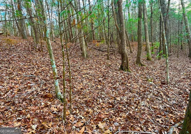 Photo 4 of Land for sale at 914 Villa Dr, Ellijay, GA 30540 | MLS# 10677704 | Listing updated on 2026-02-05