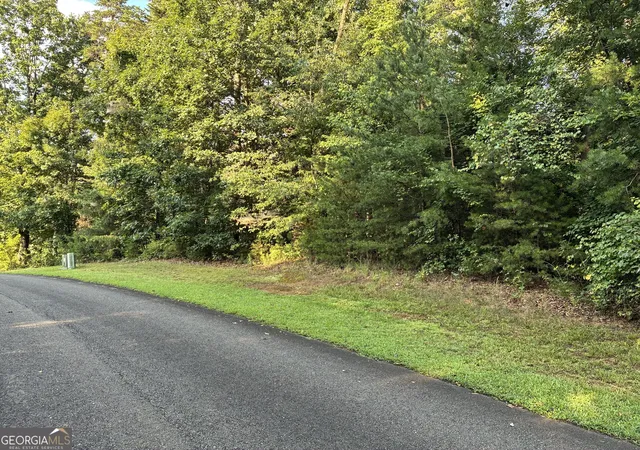 1st image of 0 Town Creek Rd, Talking Rock, GA 30175 | MLS# 10828353