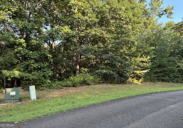 2nd image of 0 Town Creek Rd, Talking Rock, GA 30175 | MLS# 10828353