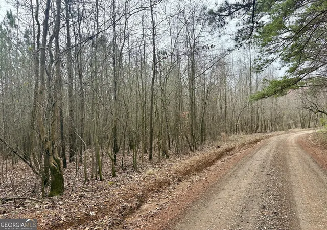 1st image of 0 County Road 670, Ranburne, AL 36273 | MLS# 10726586