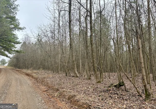 2nd image of 0 County Road 670, Ranburne, AL 36273 | MLS# 10726586
