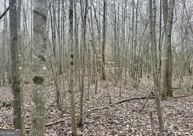 3rd image of 0 County Road 670, Ranburne, AL 36273 | MLS# 10726586