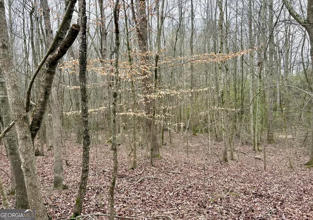 4th image of 0 County Road 670, Ranburne, AL 36273 | MLS# 10726586