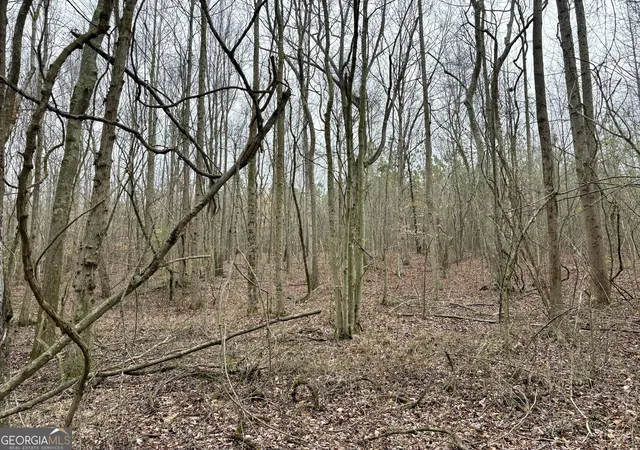 5th image of 0 County Road 670, Ranburne, AL 36273 | MLS# 10726586