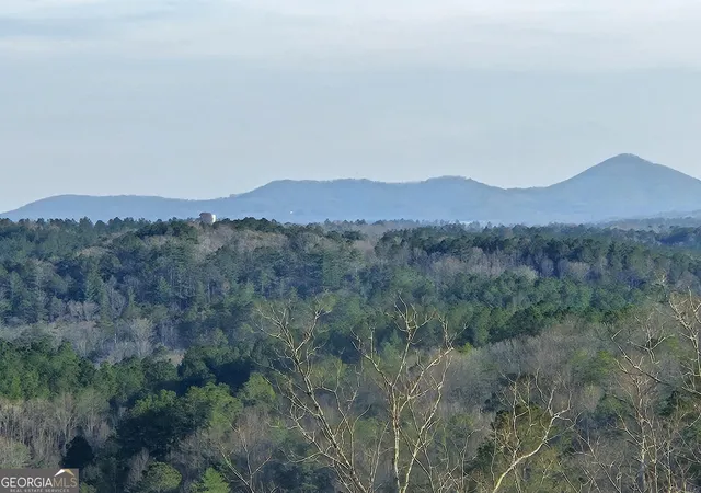 1st image of 289 Anglers Ridge Rd, Talking Rock, GA 30175 | MLS# 10823020
