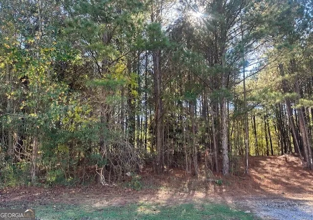 Photo 3 of Land for sale at 2100 Adel Rd, Loganville, GA 30052 | MLS# 10697162 | Listing updated on 2026-03-10