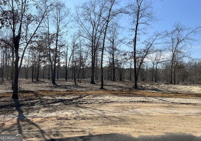 1st image of 0 Holly Ridge Lot 6, Dublin, GA 31021 | MLS# 10811138