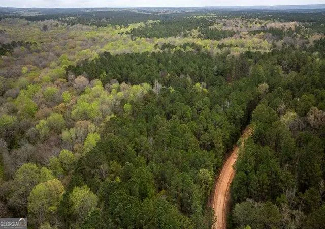 12th image of 0 Wadley St, Greenville, GA 30222 | MLS# 10822760