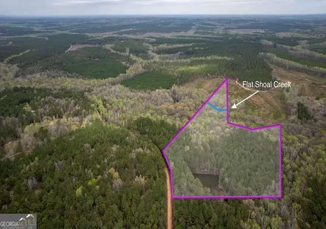 1st image of 0 Wadley St, Greenville, GA 30222 | MLS# 10822760