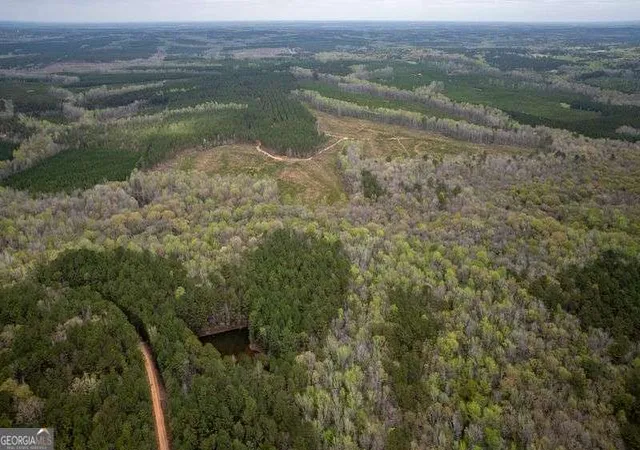 5th image of 0 Wadley St, Greenville, GA 30222 | MLS# 10822760