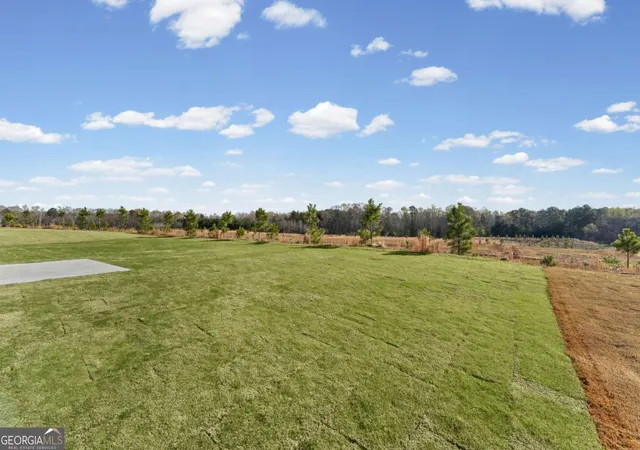 31st image of 293 Nesta Grove Dr, Locust Grove, GA 30248 | MLS# 10775883