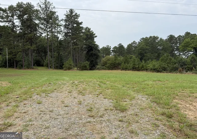 3rd image of 0 Stallings Rd, Haddock, GA 31033 | MLS# 10813951