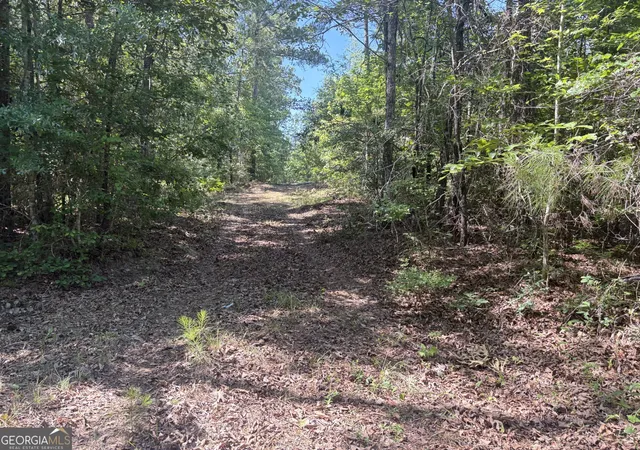 Homes for sale in Sandersville, GA | L1 Prosser Rd, Sandersville, GA 31082 | MLS# 10784524