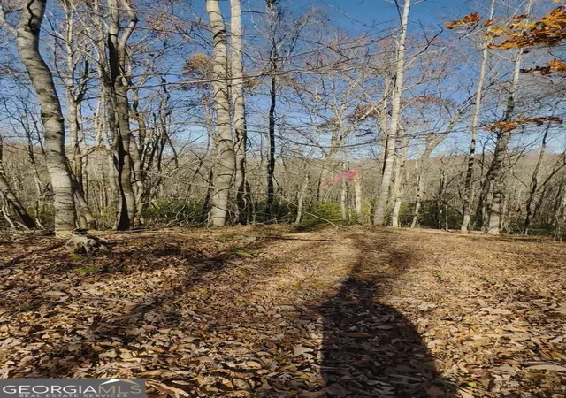 1st image of 0 Gove, Sautee Nacoochee, GA 30571 | MLS# 10695831